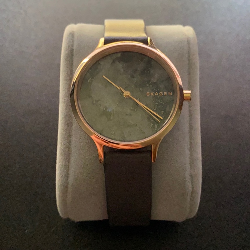 Skagen Watch